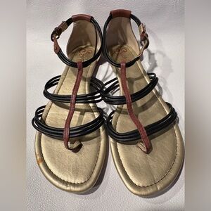 Seychelles Tubular Two Tone T-Strap Sandal